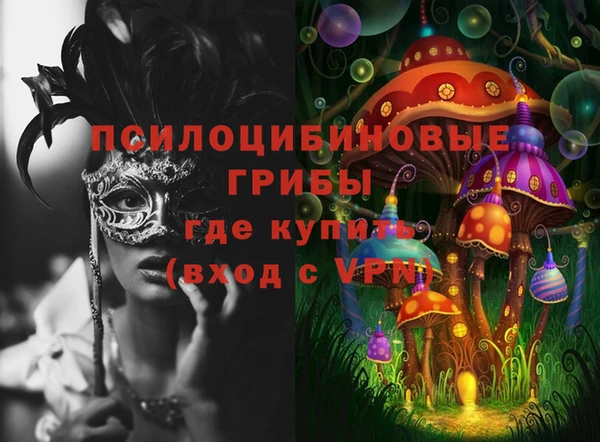 СК Бородино
