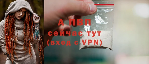 СК Бородино