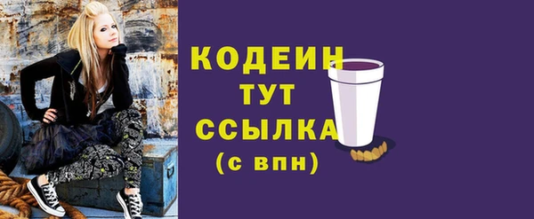 СК Бородино