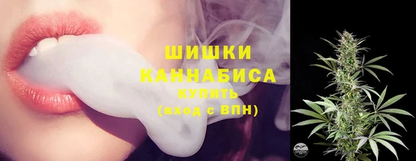 СК Бородино
