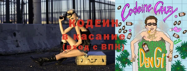 СК Бородино